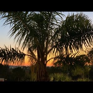 Meet your Posher, Audrey